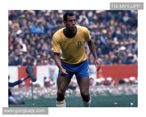 3号传奇球星身份揭秘 他是如何成为足球历史传奇人物的