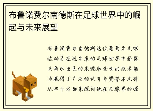 布鲁诺费尔南德斯在足球世界中的崛起与未来展望