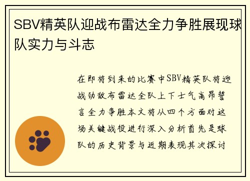 SBV精英队迎战布雷达全力争胜展现球队实力与斗志